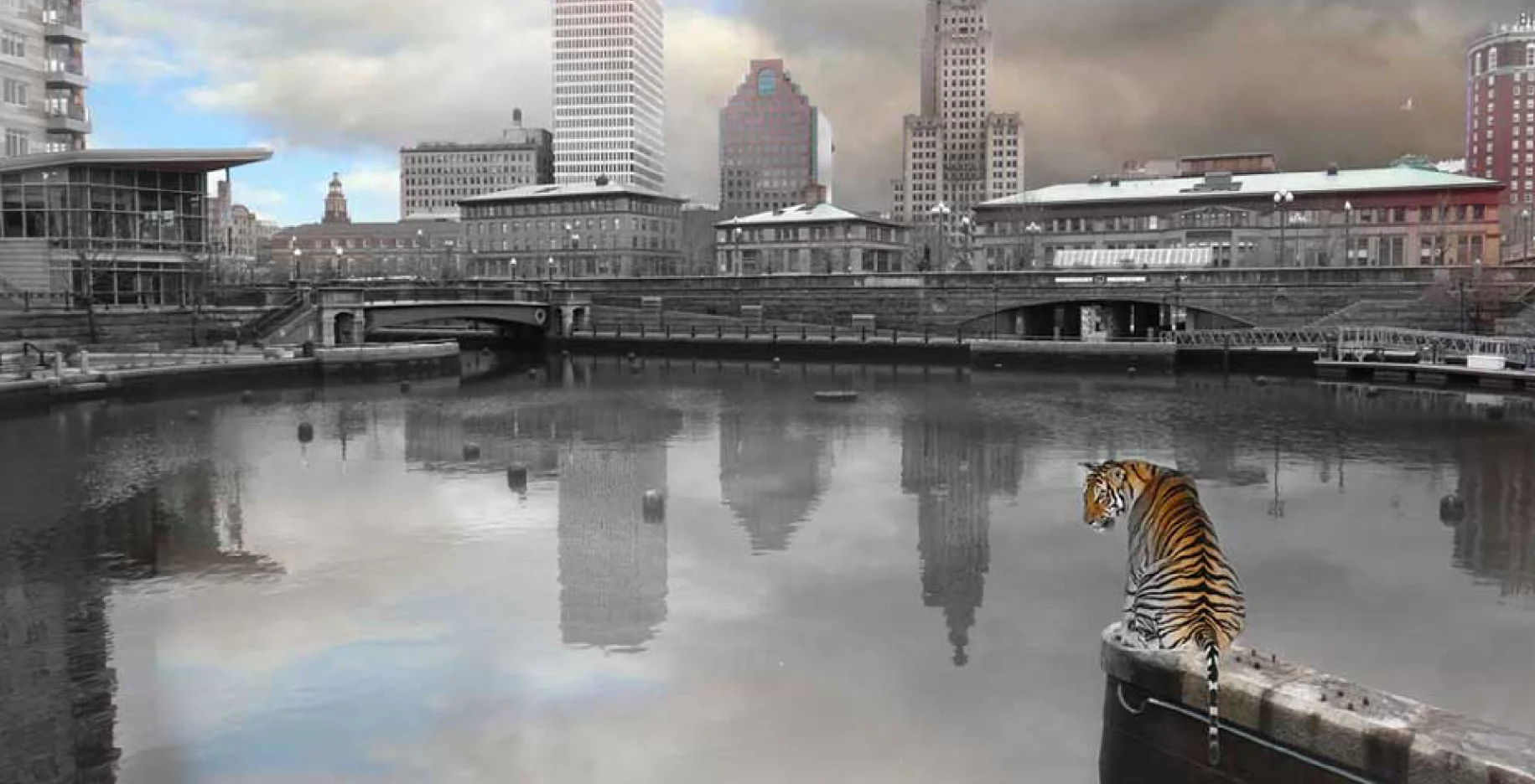 Tiger perched on a railing overlooking a city river with skyscrapers reflected in the water.